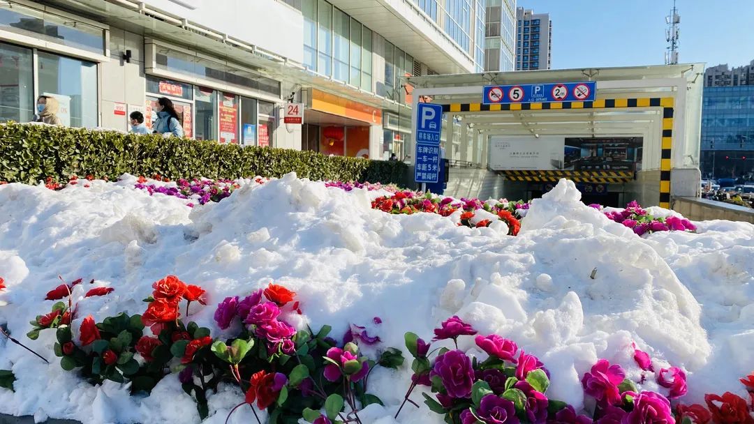 V中心的铲雪活动